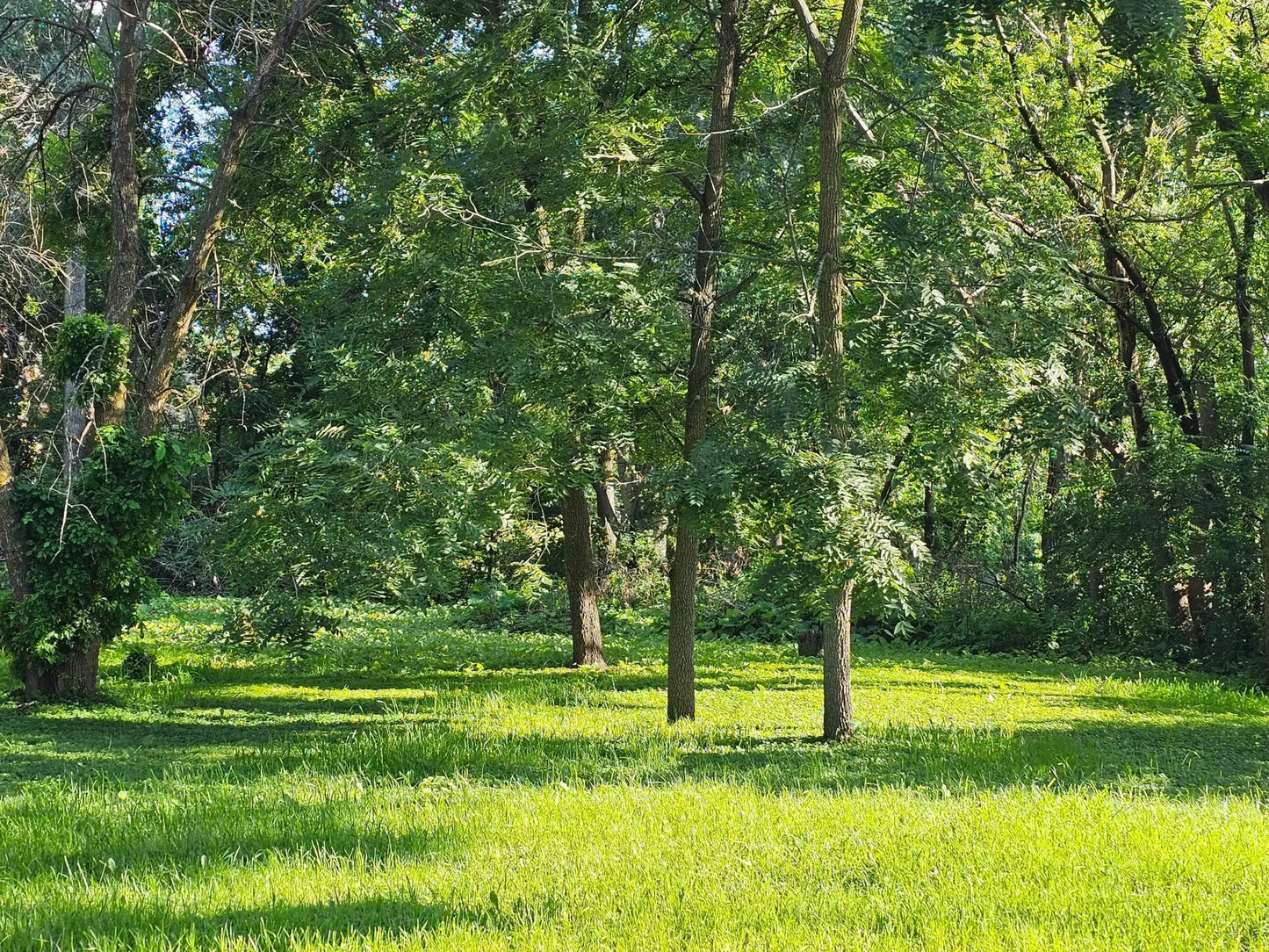 822 Palm Court, Maplewood, MN 55109