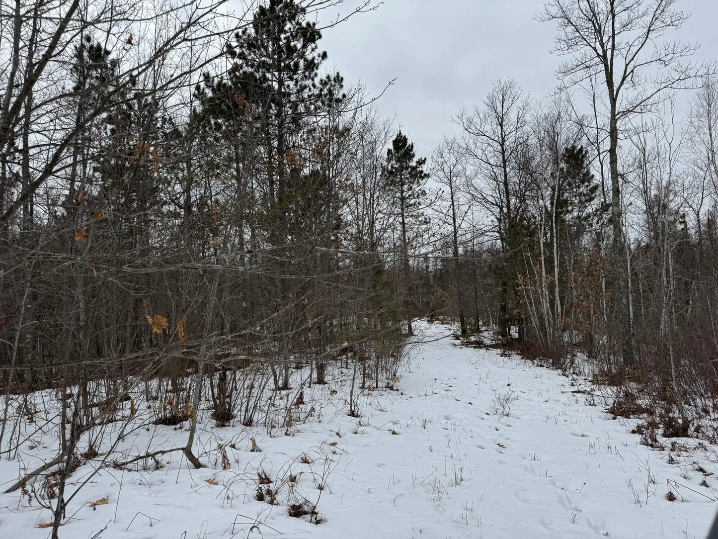 82981 State Highway 23 , Kerrick, MN 55756