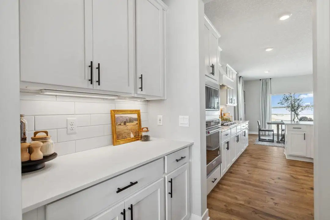 1492 Sophia Drive, Chaska, MN 55318