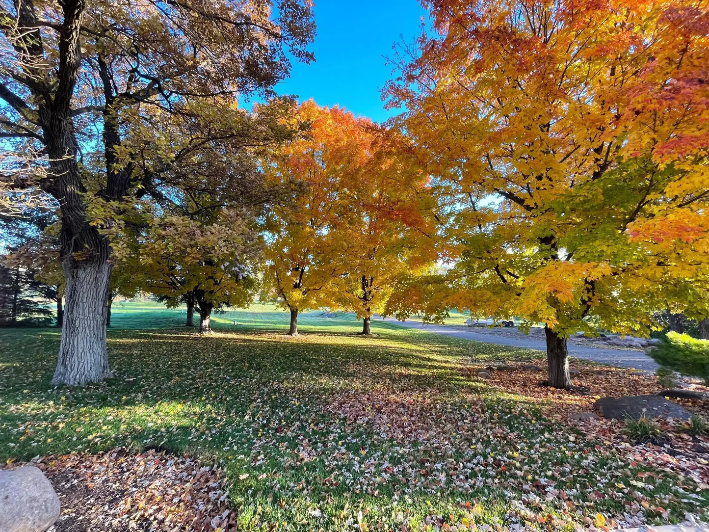 6405 Hillstrom Road, Independence, MN 55359