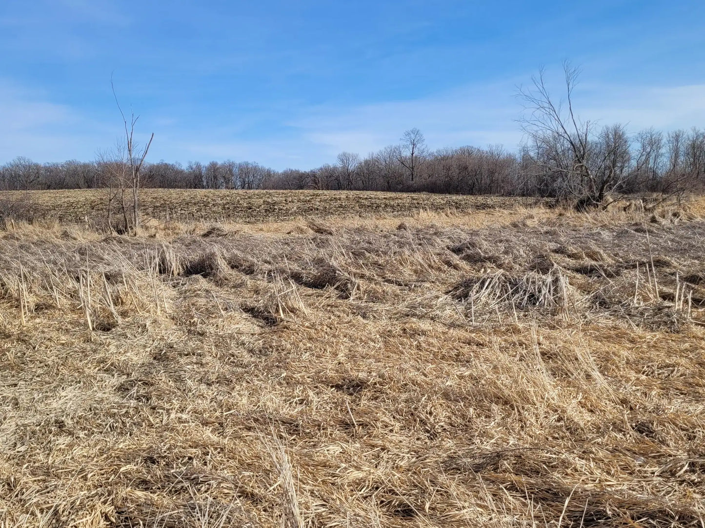 xxxx County Road 7 , Maple Lake, MN 55358