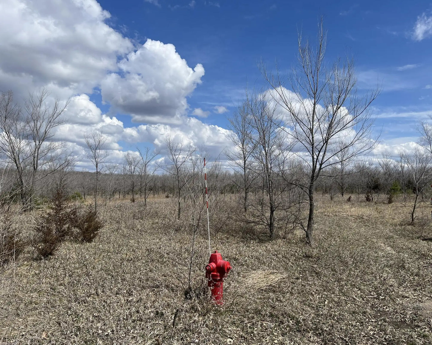 XXX 176th Street, Big Lake, MN 55309