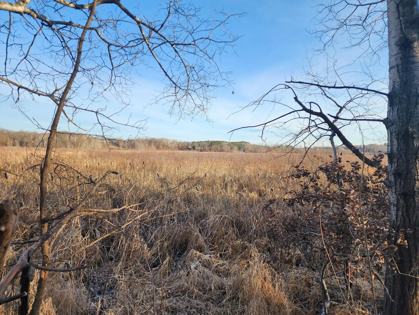 0000 Stark Road, Cambridge, MN 55008