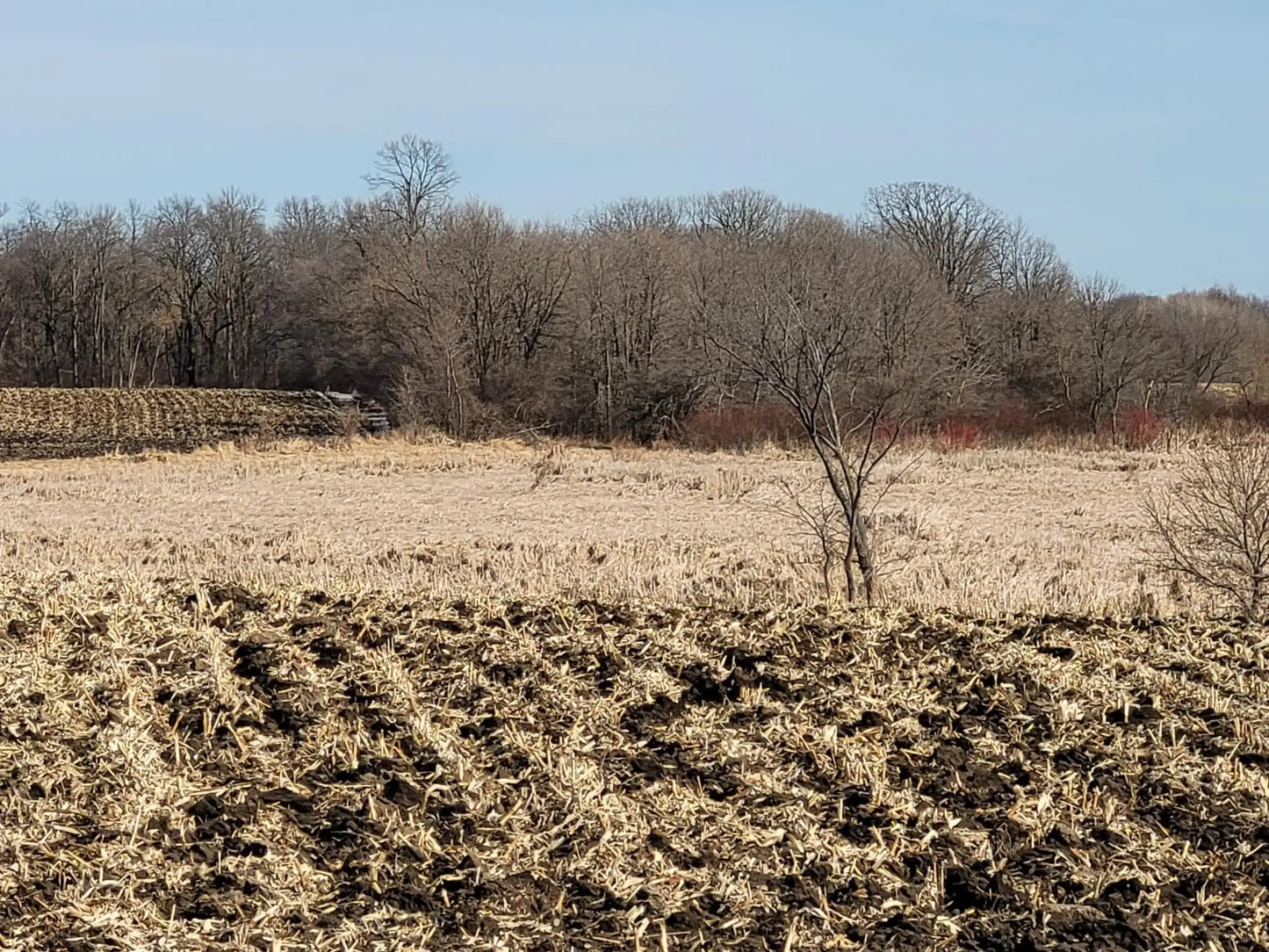 xxxx County Road 7 , Maple Lake, MN 55358