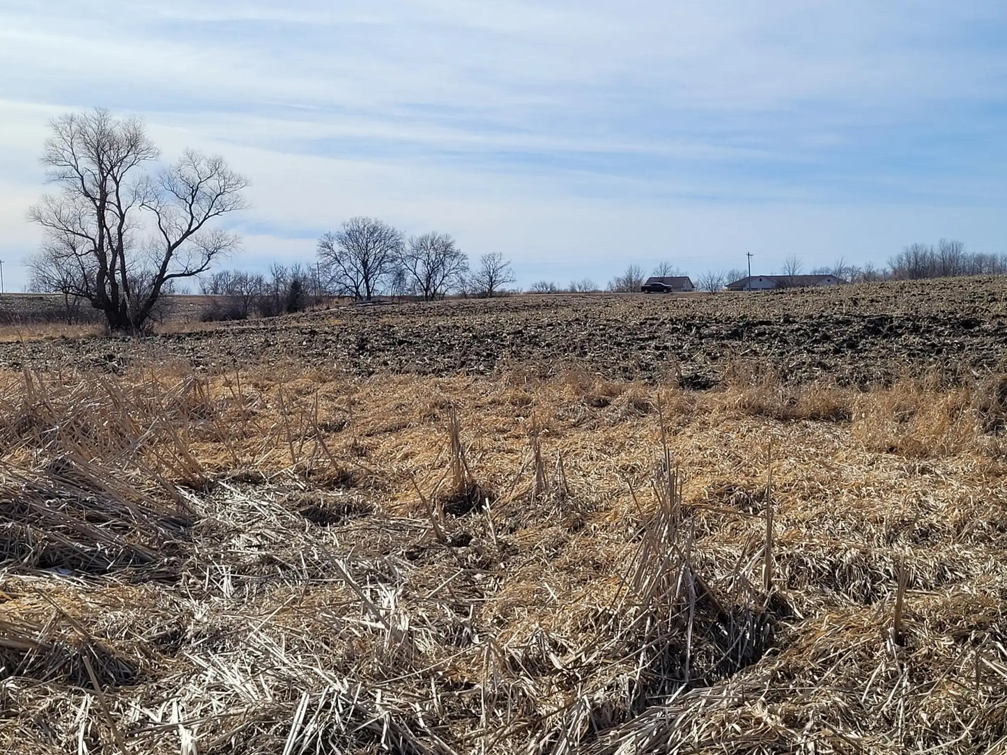 xxxx County Road 7 , Maple Lake, MN 55358