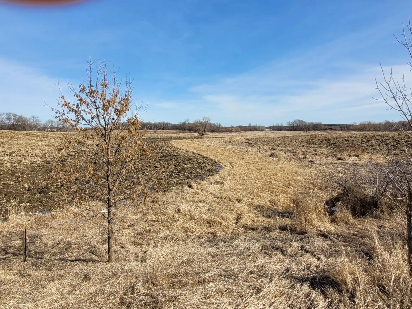 xxxx County Road 7 , Maple Lake, MN 55358