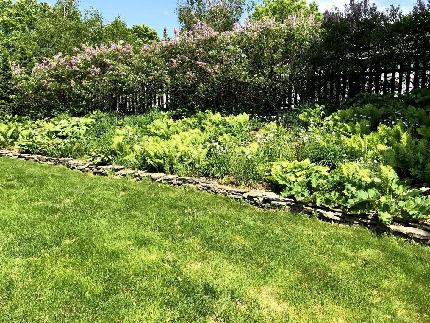 2805 Alvarado Lane, Plymouth, MN 55447