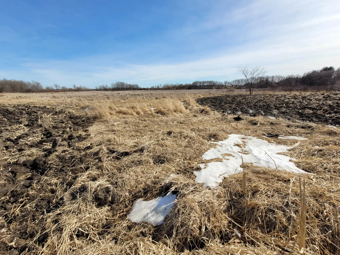 xxxx County Road 7 , Maple Lake, MN 55358