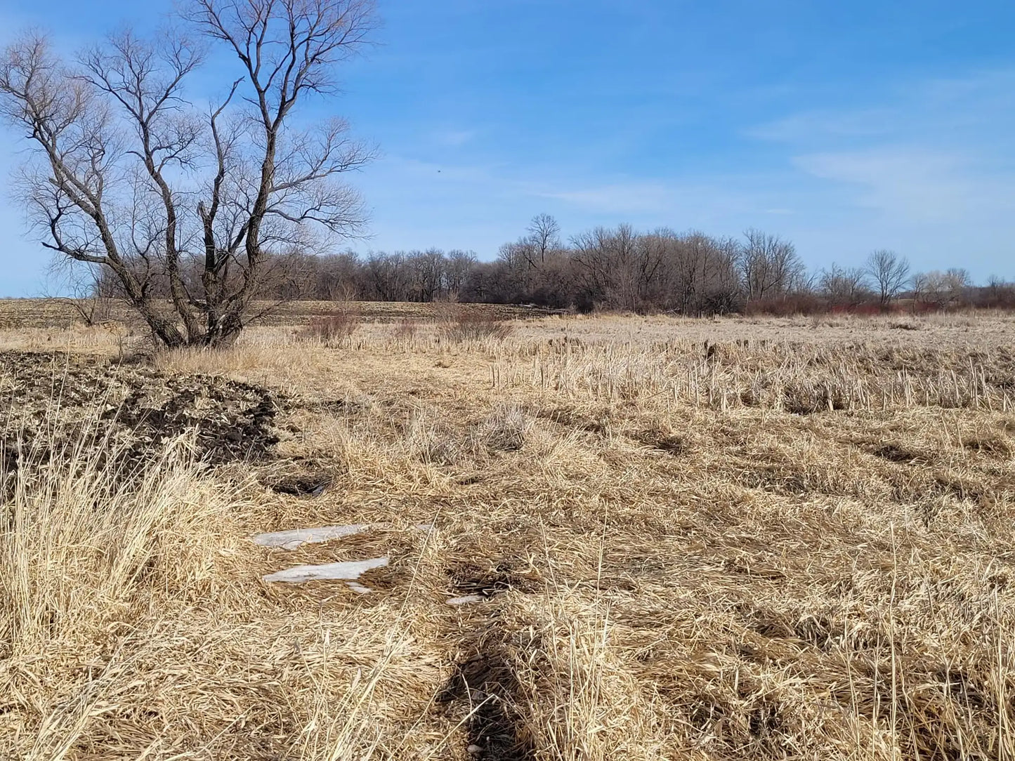 xxxx County Road 7 , Maple Lake, MN 55358