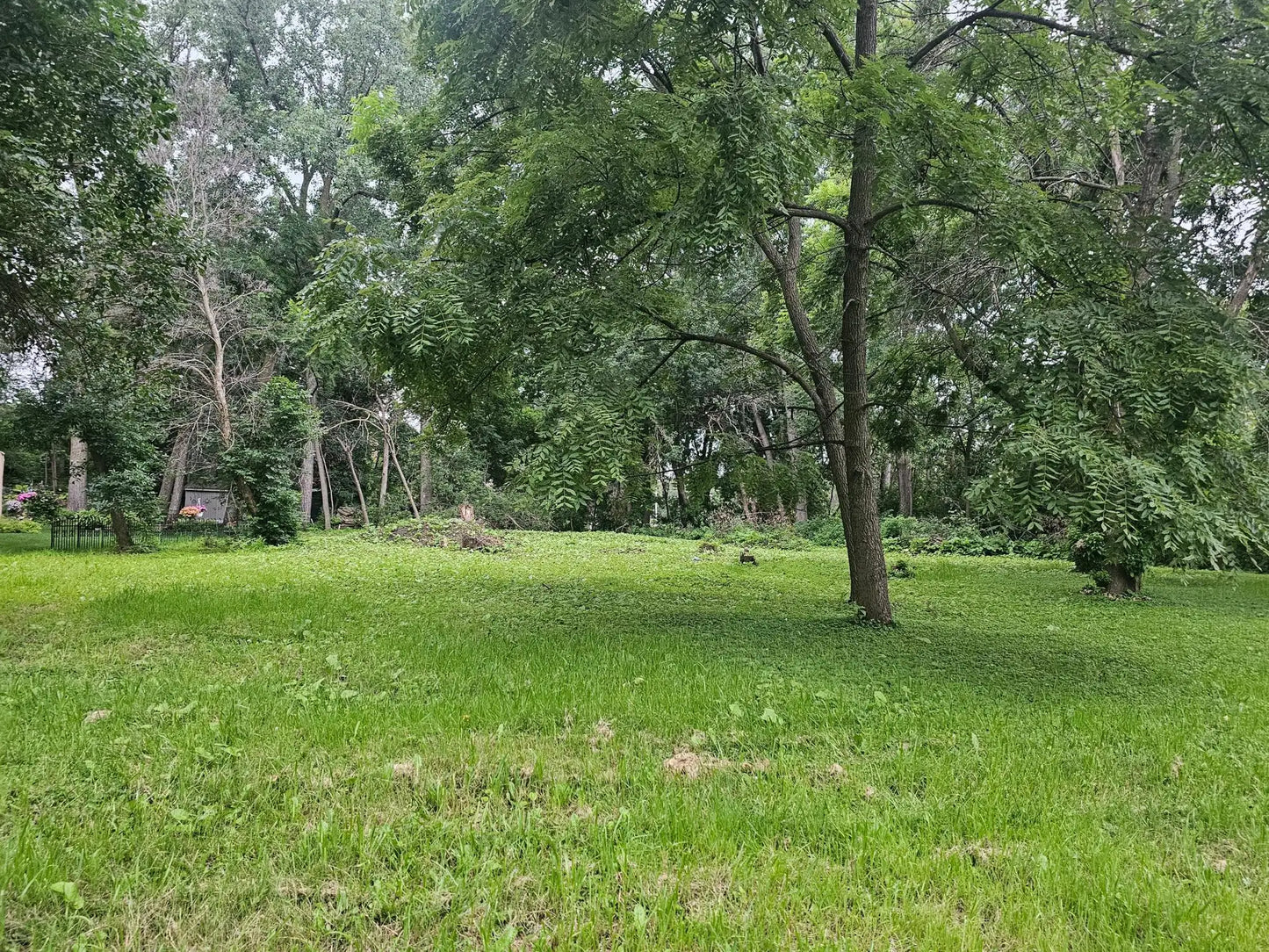 822 Palm Court, Maplewood, MN 55109