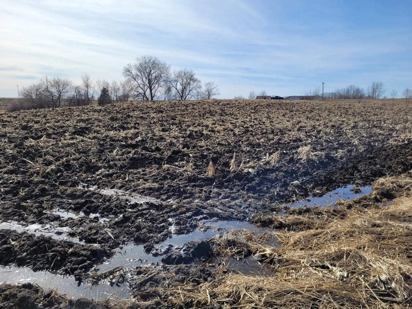 xxxx County Road 7 , Maple Lake, MN 55358