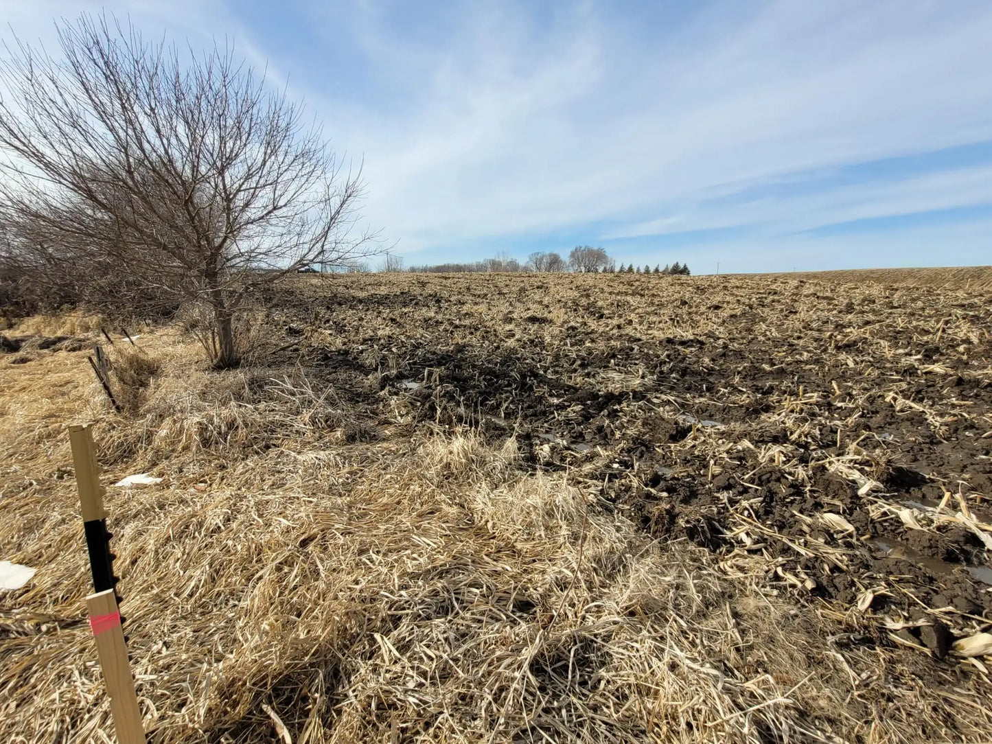 xxxx County Road 7 , Maple Lake, MN 55358
