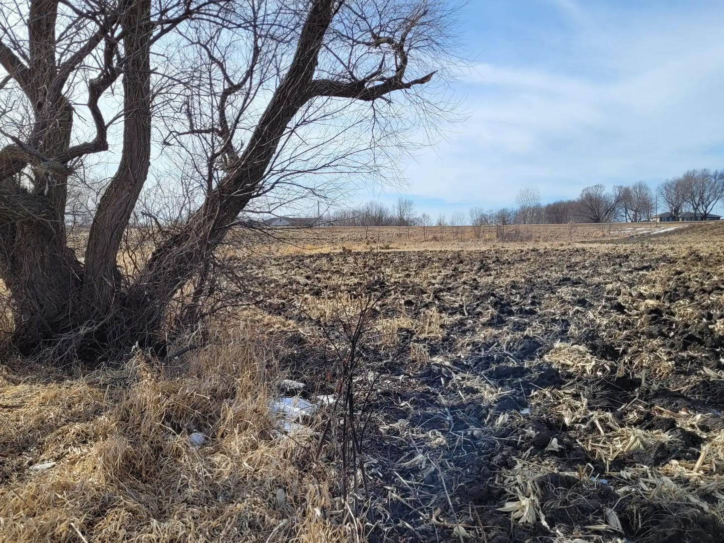 xxxx County Road 7 , Maple Lake, MN 55358