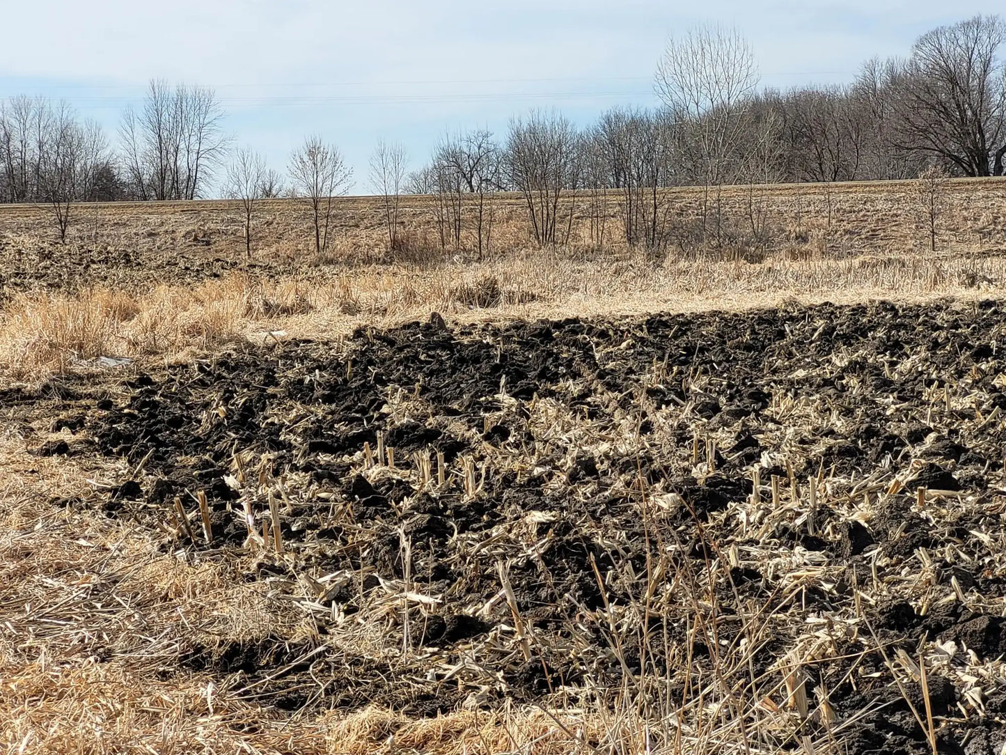 xxxx County Road 7 , Maple Lake, MN 55358