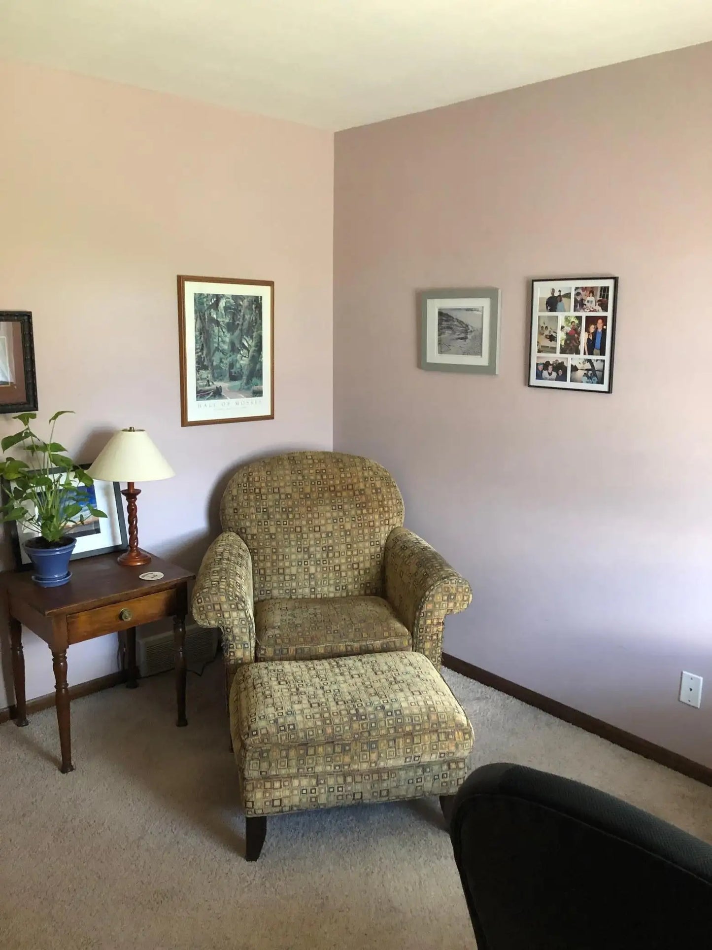 2805 Alvarado Lane, Plymouth, MN 55447
