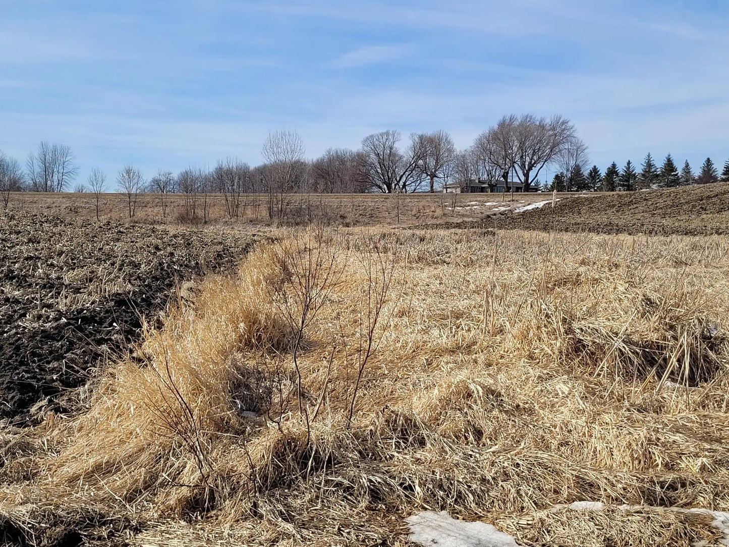 xxxx County Road 7 , Maple Lake, MN 55358