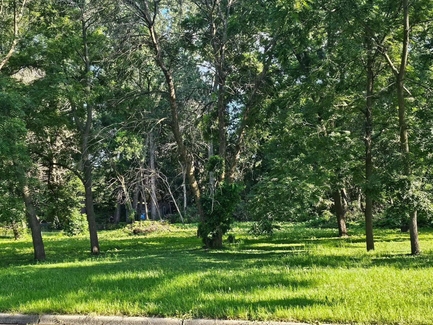 822 Palm Court, Maplewood, MN 55109