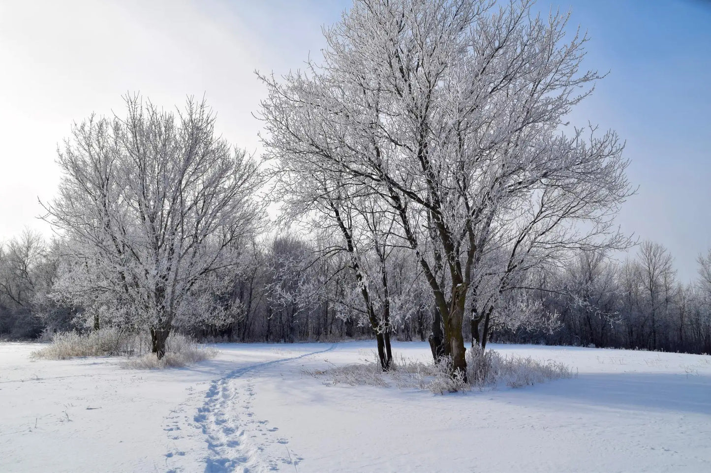 1260 County Road 8 , Waverly, MN 55390