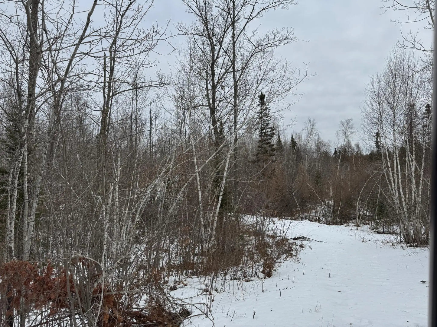 82981 State Highway 23 , Kerrick, MN 55756