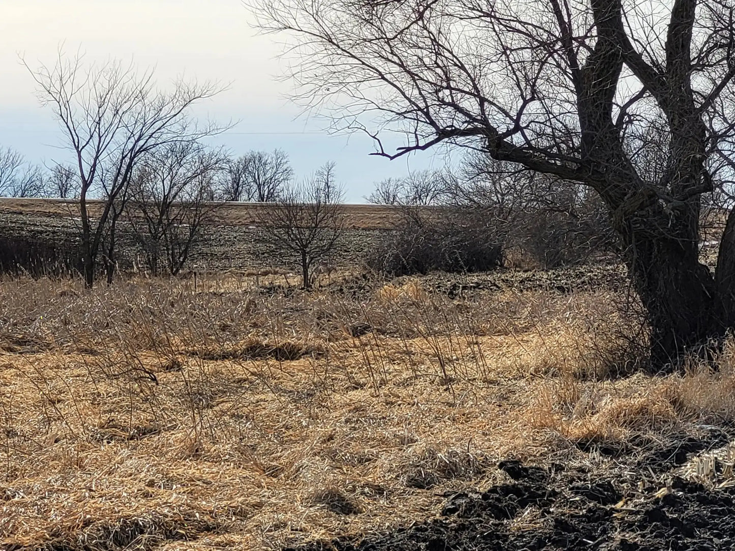 xxxx County Road 7 , Maple Lake, MN 55358
