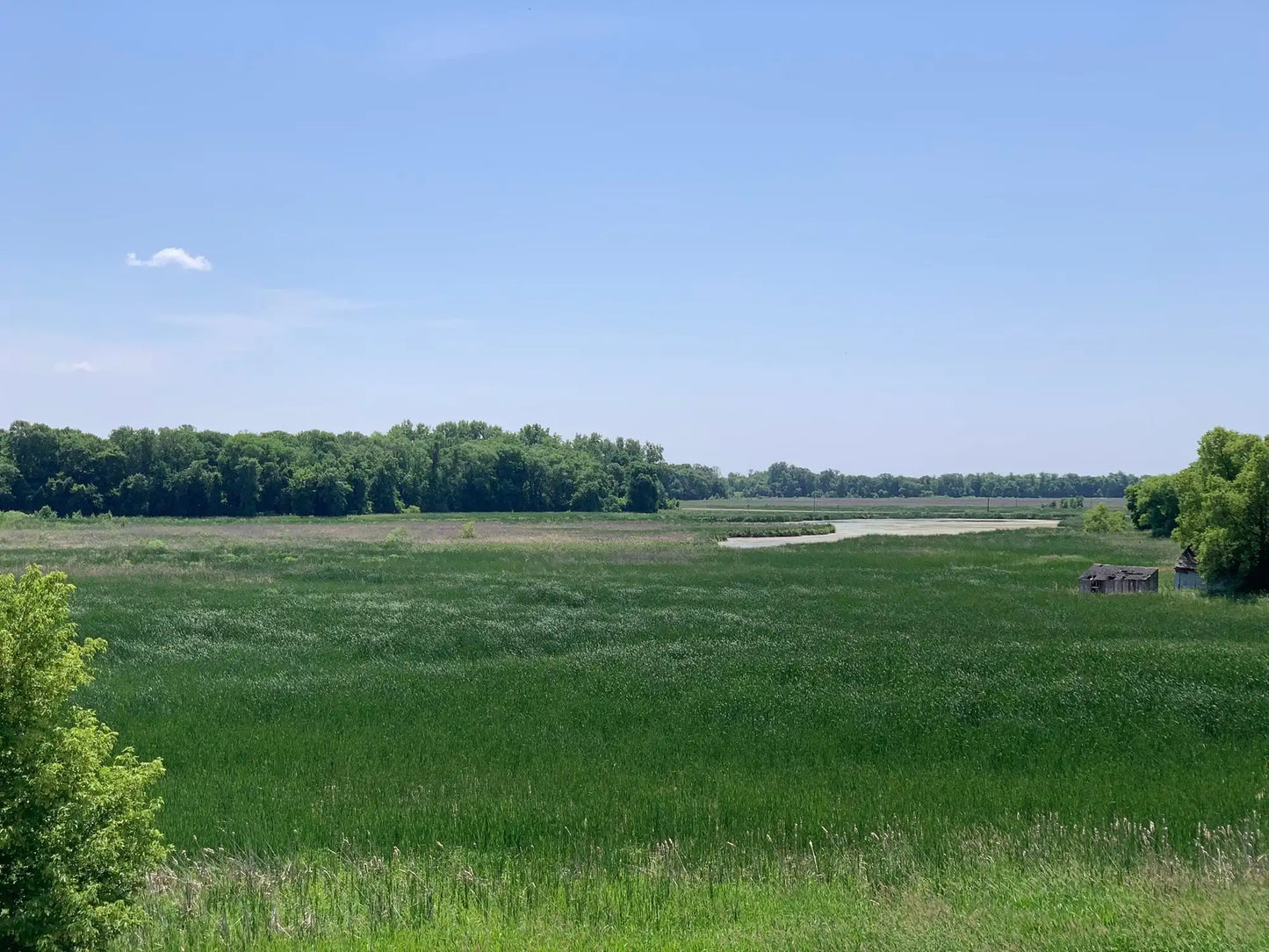 13633 Ringneck Way, Rogers, MN 55374
