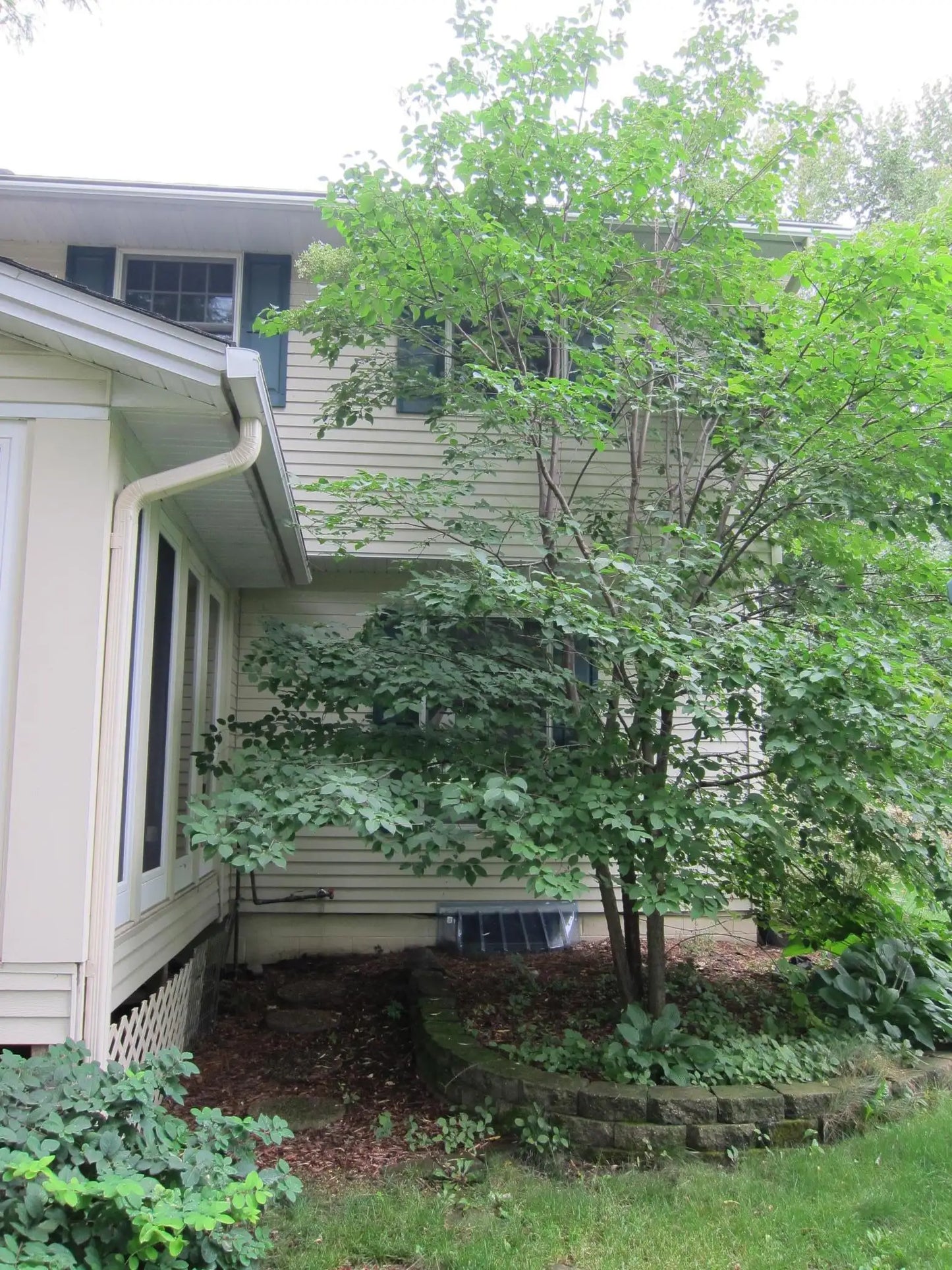 2805 Alvarado Lane, Plymouth, MN 55447