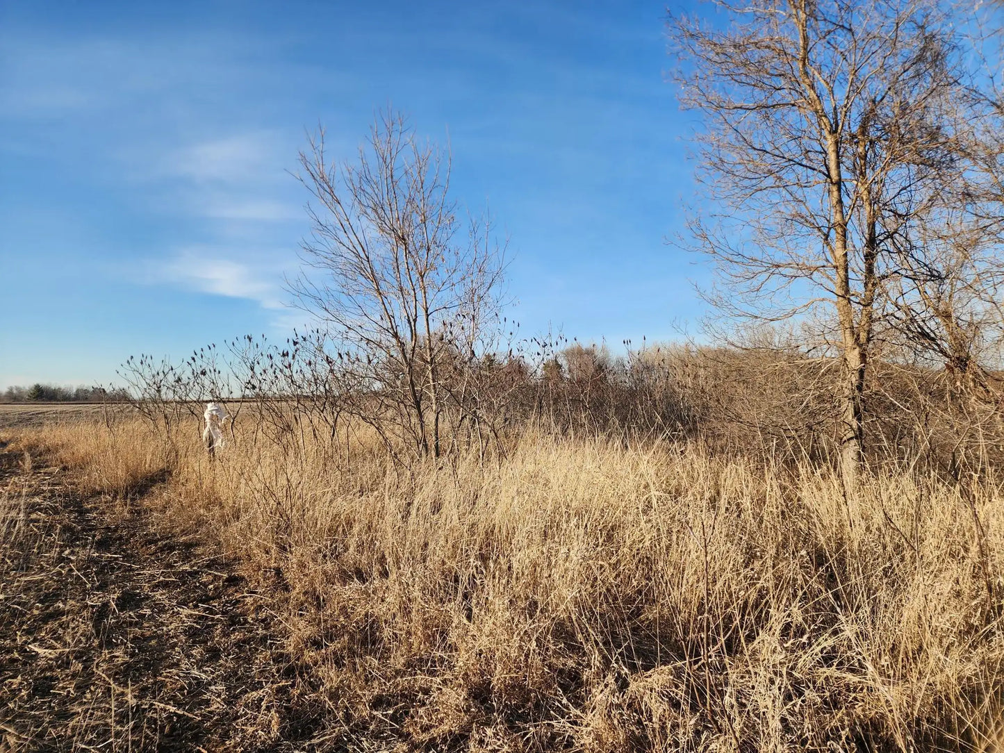 0000 Stark Road, Cambridge, MN 55008