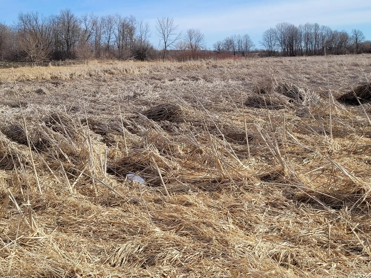 xxxx County Road 7 , Maple Lake, MN 55358