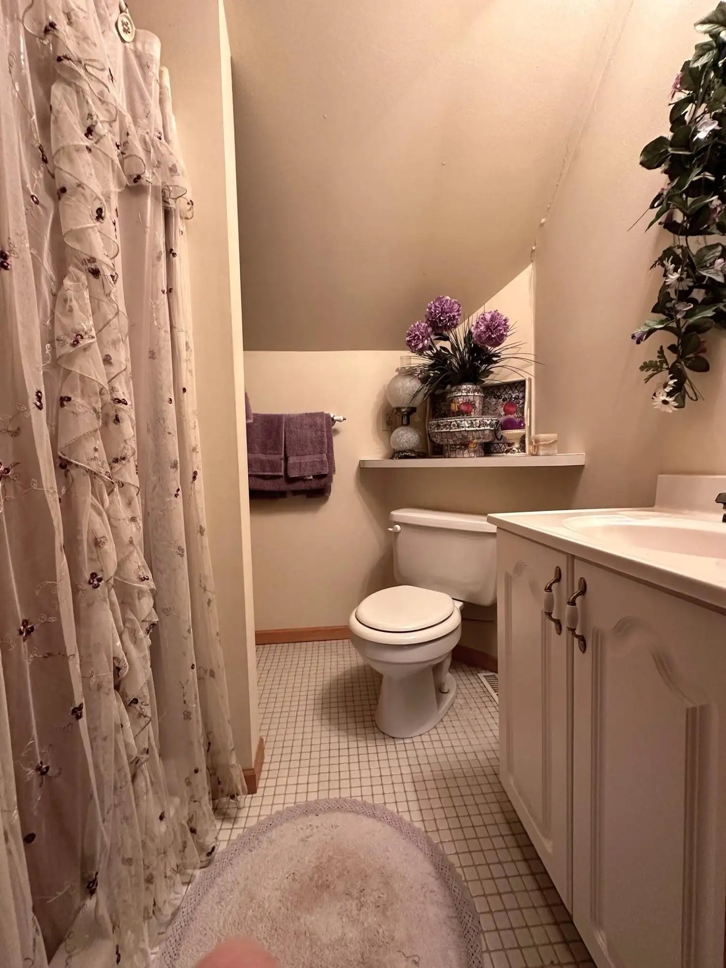 406 Rum River Drive, Princeton, MN 55371