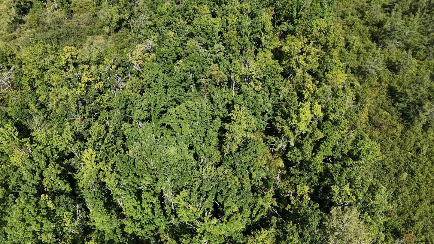 TBD Rainbow Trout Trail , Sandstone, MN 55072