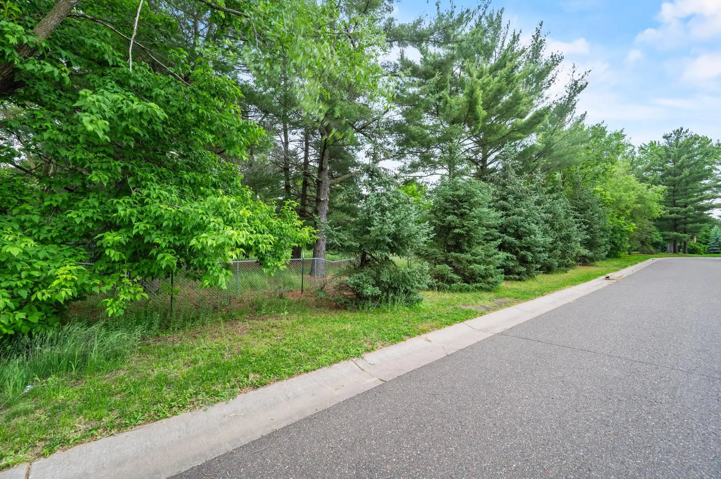 xxx Buffalo Lane, Shoreview, MN 55126