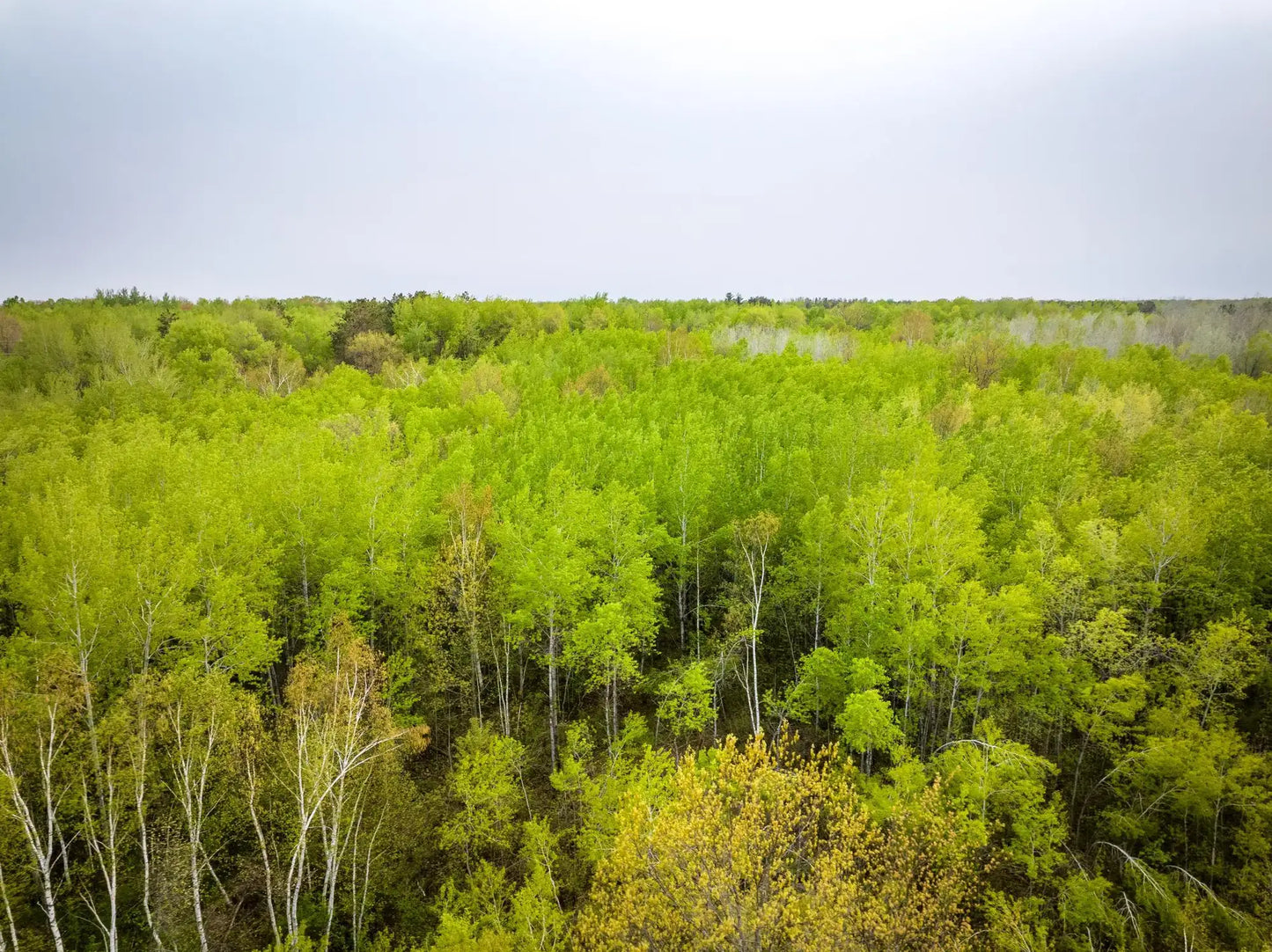 1909 County Hwy 61 , Sandstone Twp, MN 55072