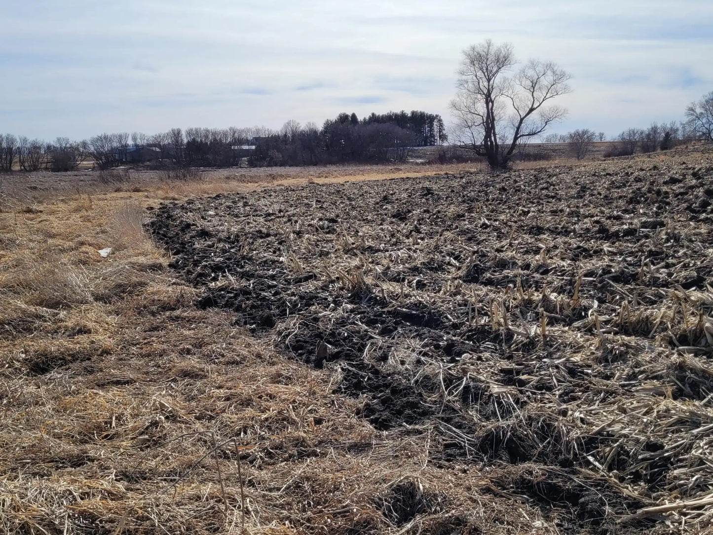 xxxx County Road 7 , Maple Lake, MN 55358