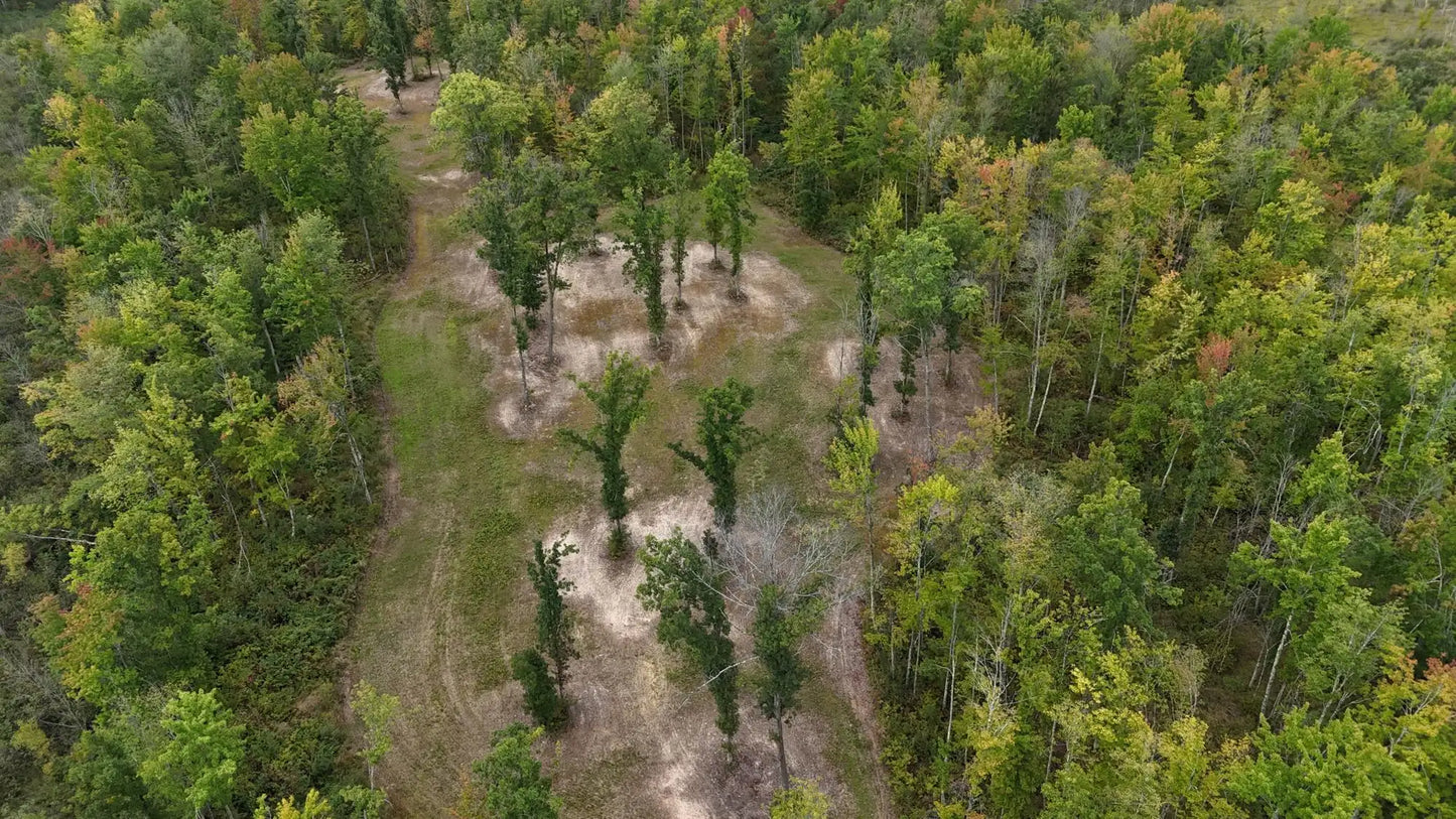 TBD Rainbow Trout Trail , Sandstone, MN 55072