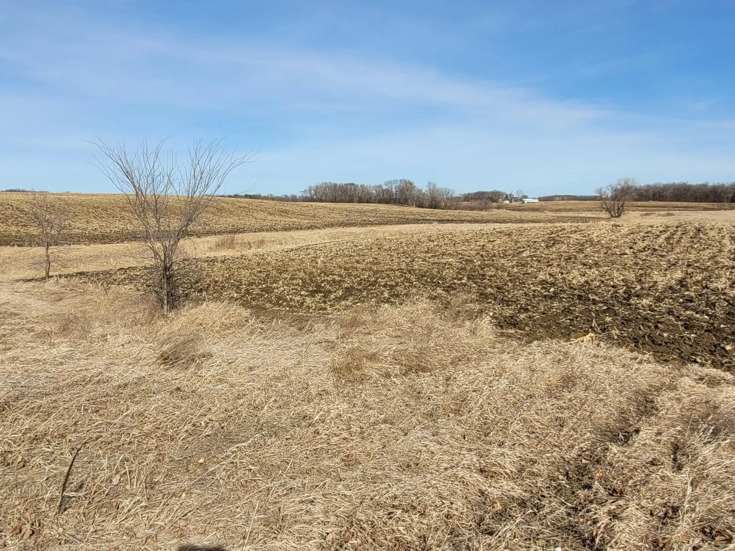 xxxx County Road 7 , Maple Lake, MN 55358