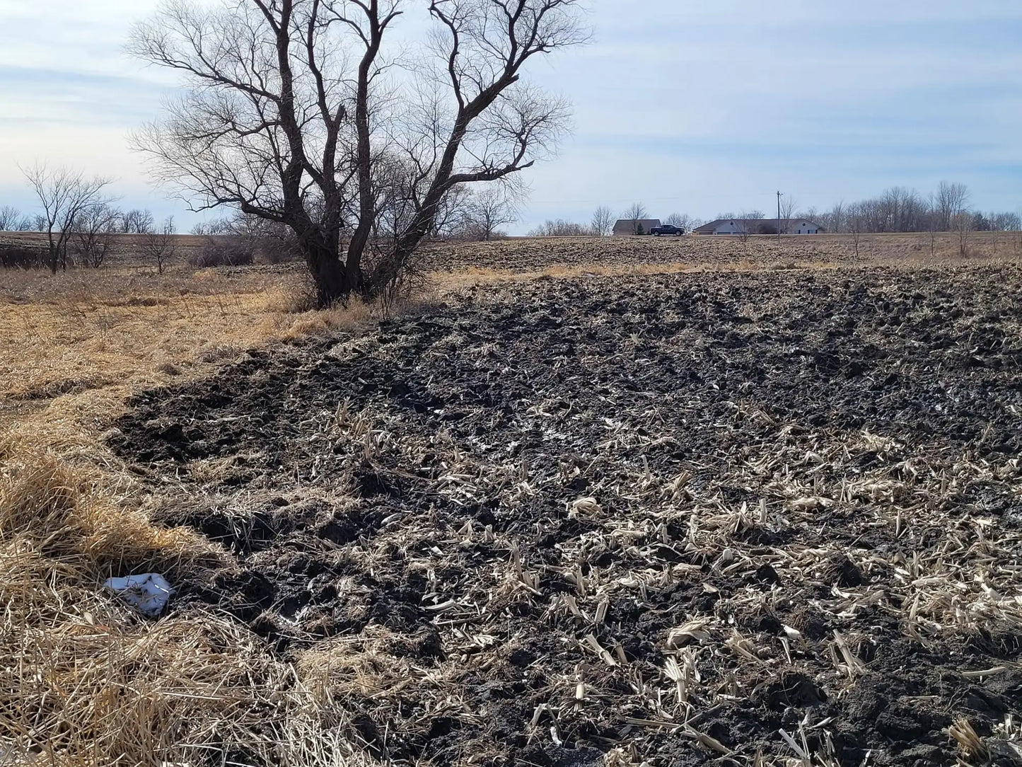 xxxx County Road 7 , Maple Lake, MN 55358