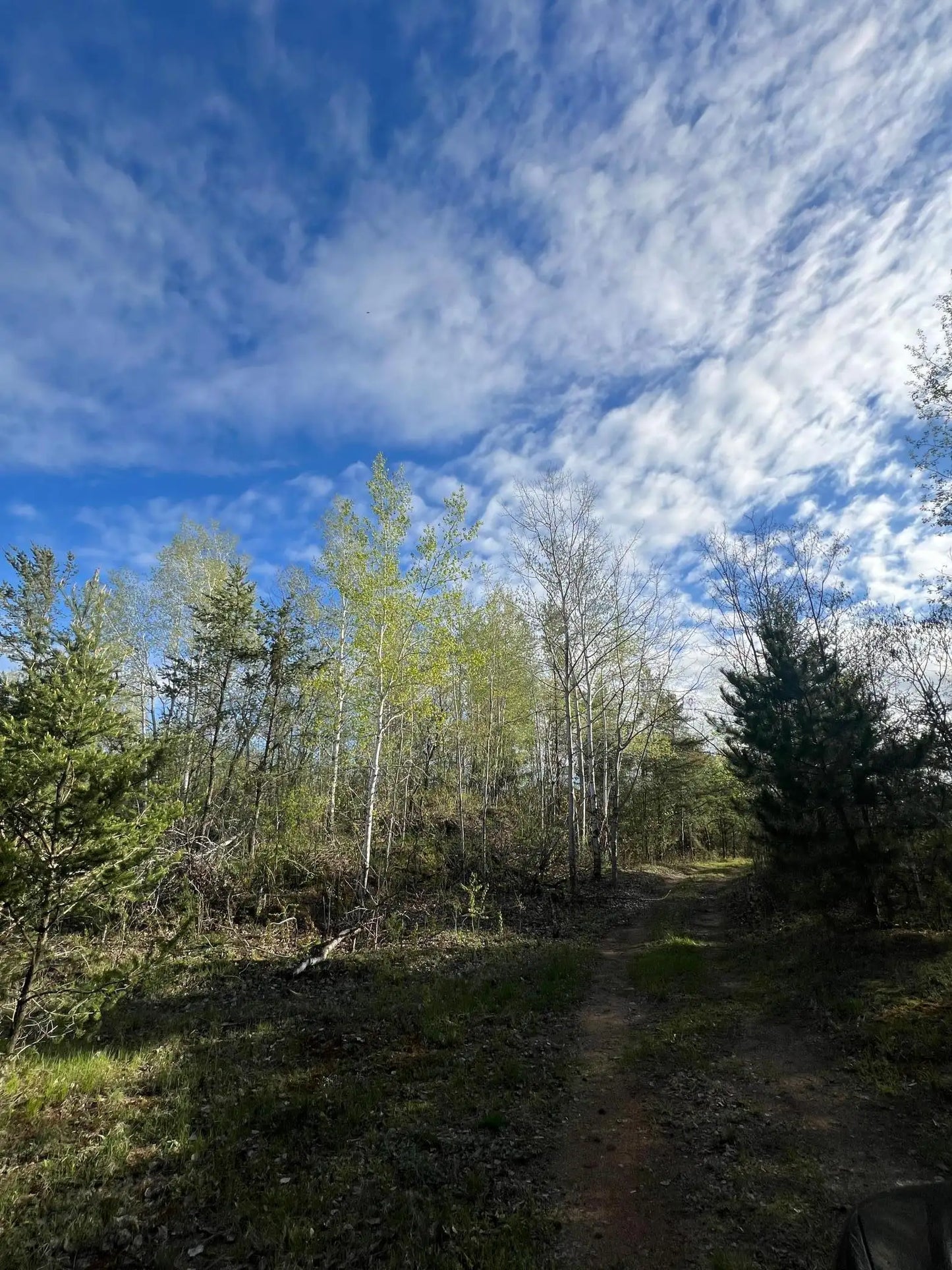 XXX Agate Drive, Pine City, MN 55063