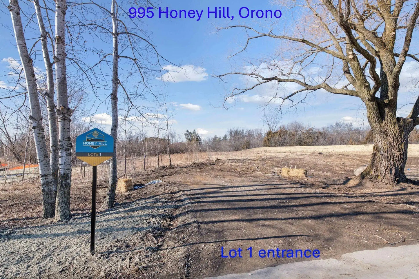 995 x Honey Hill - lot , Orono, MN 55356