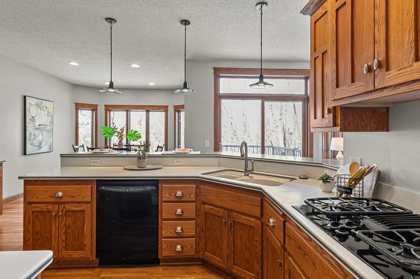 4674 Europa Trail, Hugo, MN 55038